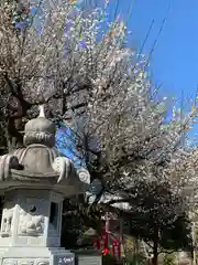 太山寺の自然