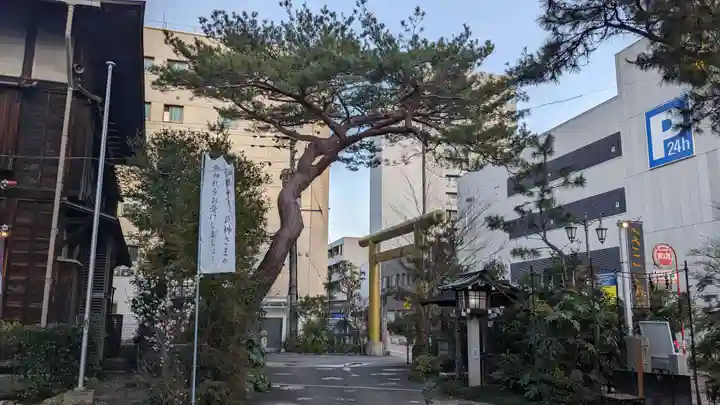 高知大神宮の庭園