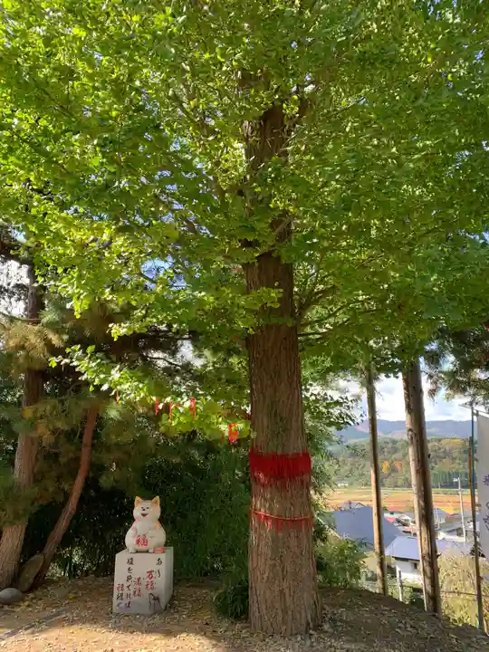 鹿角八坂神社の自然