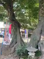 八枝神社(埼玉県)