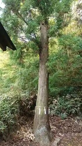 水使神社の自然