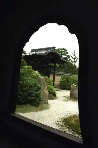 建仁寺（建仁禅寺）の自然
