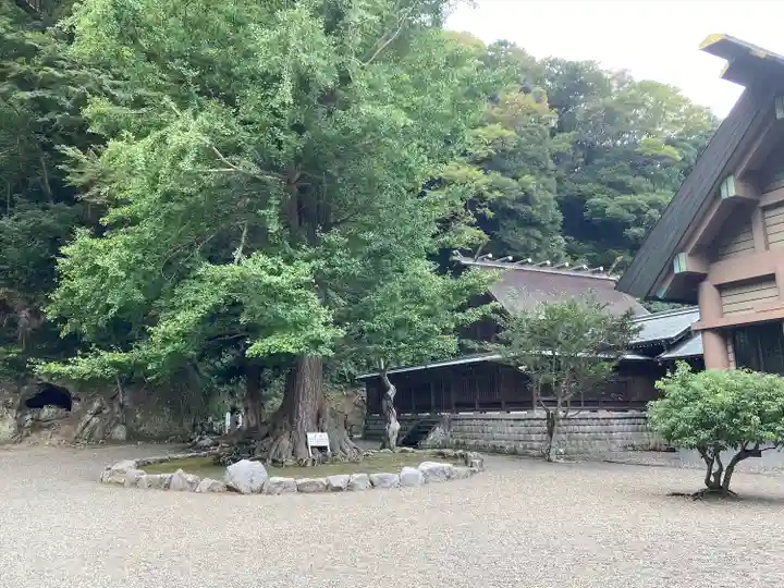 安房神社(千葉県)