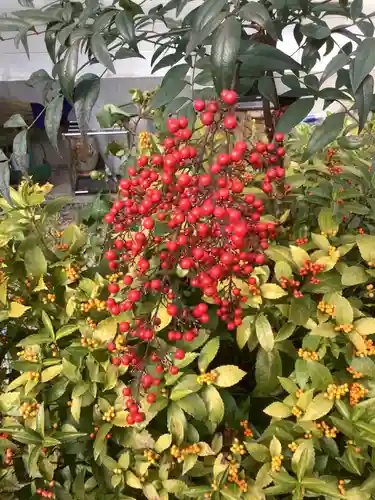 三輪神社の自然