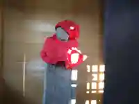 祠(地蔵)(愛知県)