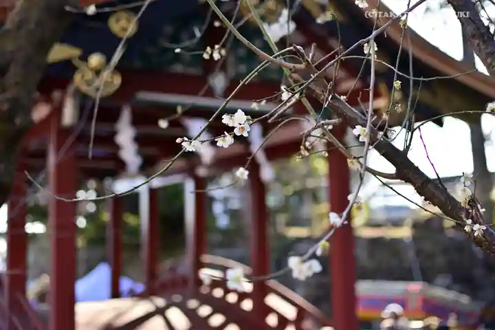 筑波山神社のその他建物