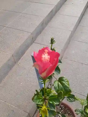 伏木香取神社(茨城県)