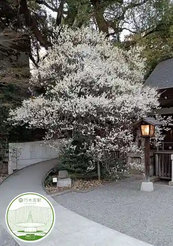 乃木神社(東京都)