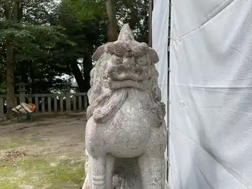 今八幡宮の狛犬