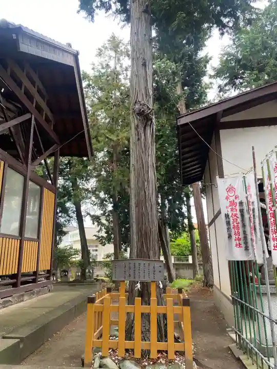 駒形神社(群馬県)
