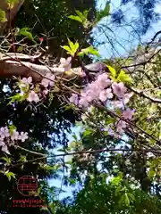 立志神社の自然