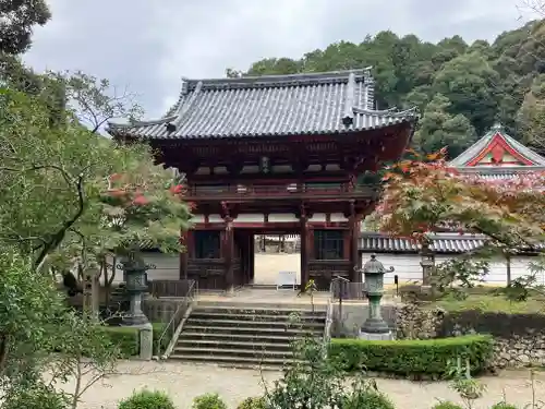 金剛寺(大阪府)