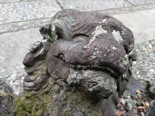 菊田神社の狛犬