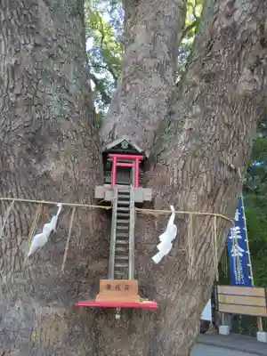 加藤神社(熊本県)