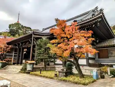青松寺の本殿・本堂