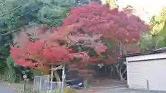 讃州寺の自然