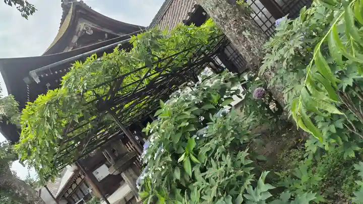六孫王神社(京都府)