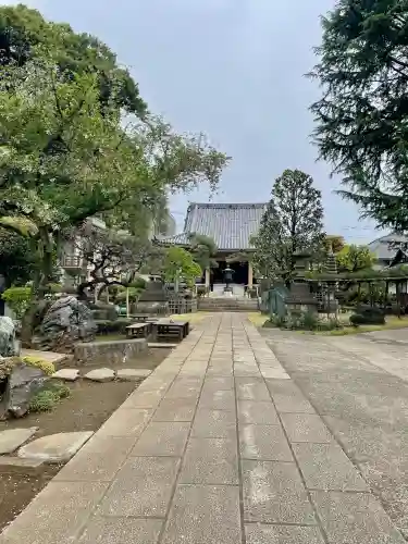 東光寺の{uncategorized: "未分類", other: "その他", undefined: "問題あり", building: "その他建物", grave: "お墓", sacred_gate: "鳥居", guardian: "狛犬", statue: "像", buddha: "仏像", history: "歴史", nature: "自然", garden: "庭園", animal: "動物", pagoda: "塔", temizu: "手水舎", mountain_gate: "山門・神門", sanctuary: "本殿・本堂", subordinate: "末社・摂社", art: "芸術", scenery: "景色", jizo: "地蔵", ema: "絵馬", goshuin: "御朱印", omikuji: "おみくじ", items: "授与品その他", amulet: "お守り", goshuincho: "御朱印帳", eats: "食事", festival: "お祭り", votive_dance: "神楽", shichigosan: "七五三参", wedding: "結婚式", experience: "体験その他", initially: "初詣", around: "周辺", anti_infection: "感染症対策"}
