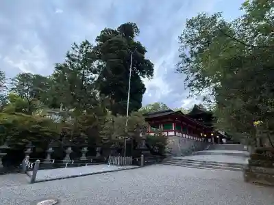 石上神宮(奈良県)