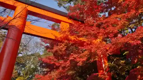 賀茂御祖神社（下鴨神社）の鳥居