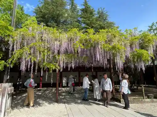 笠間稲荷神社(茨城県)