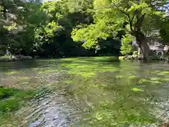 富士山本宮浅間大社(静岡県)