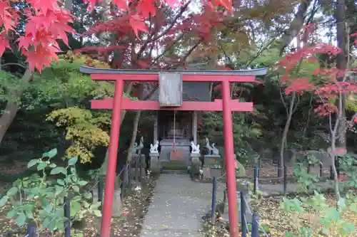 本土寺の鳥居