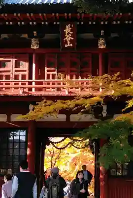 本土寺の山門・神門