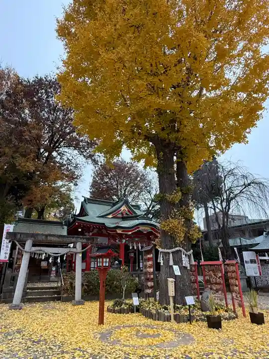 川越八幡宮(埼玉県)