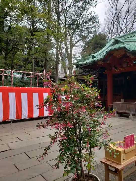 赤坂氷川神社(東京都)