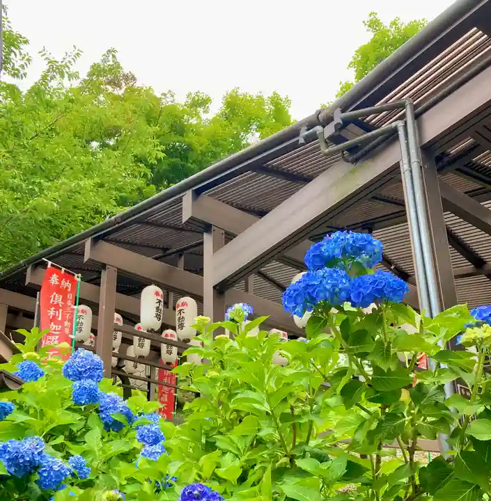 倶利迦羅不動寺山頂本堂の自然