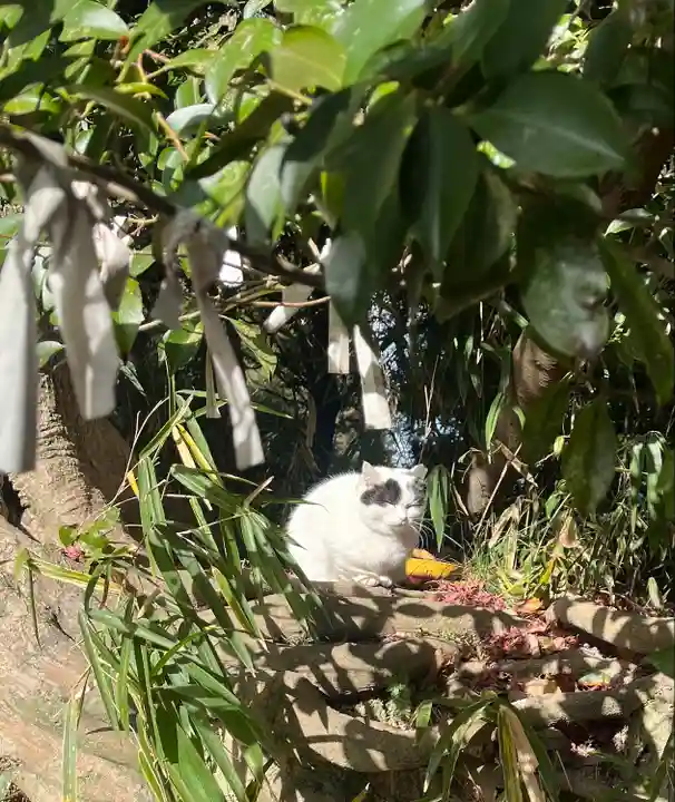 伏見稲荷大社(京都府)