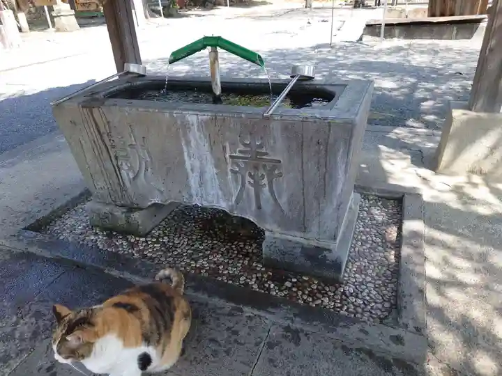 賀茂別雷神社(栃木県)