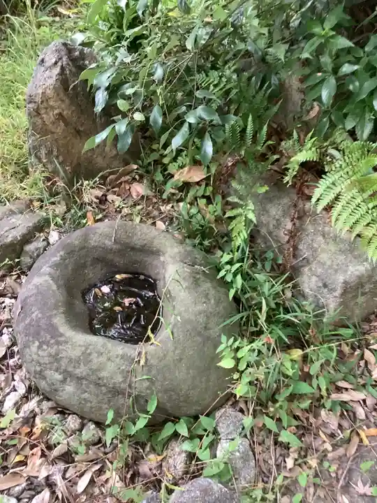 泉増院の手水舎