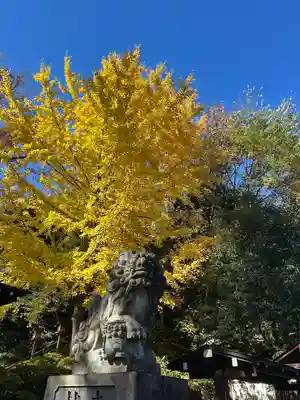 日枝神社水天宮(東京都)