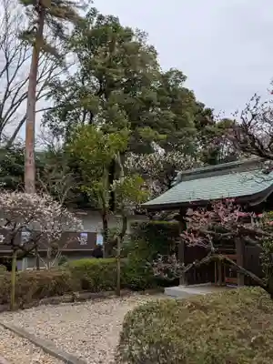 布多天神社(東京都)