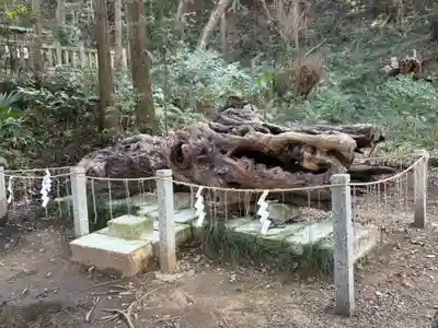 泉神社(茨城県)