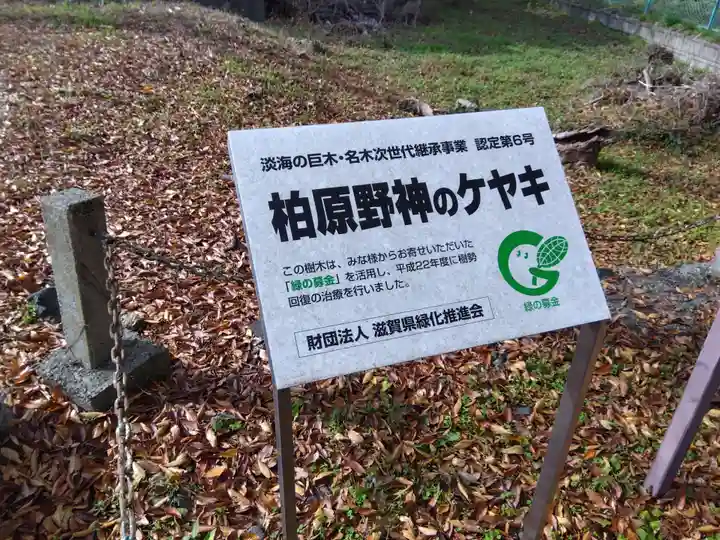 八幡神社(滋賀県)
