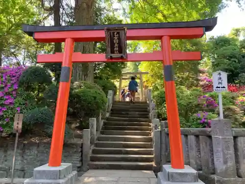 根津神社の鳥居