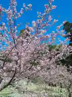 長楽寺(兵庫県)