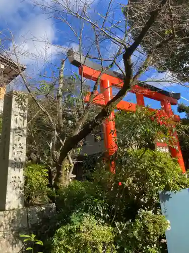 宇治神社の自然
