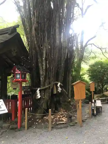 貴船神社の自然