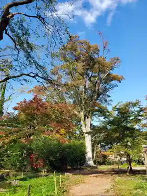 神炊館神社 ⁂奥州須賀川総鎮守⁂(福島県)