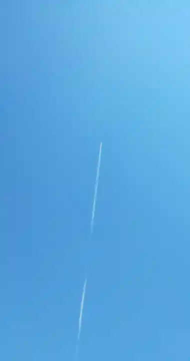 醫王寺(黄金身代り不動尊) (群馬県)