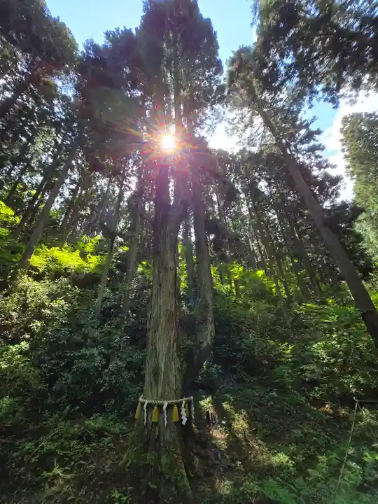 賀毗禮神宮(茨城県)