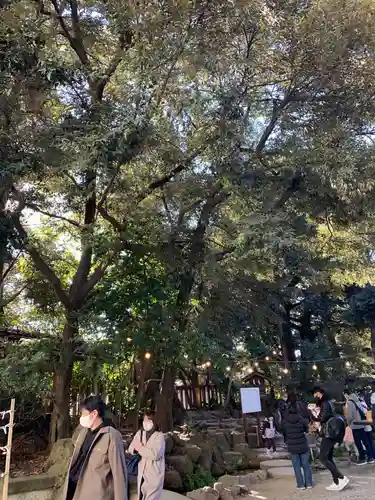 川越氷川神社の自然
