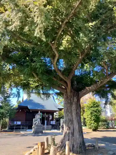 御霊神社(東京都)