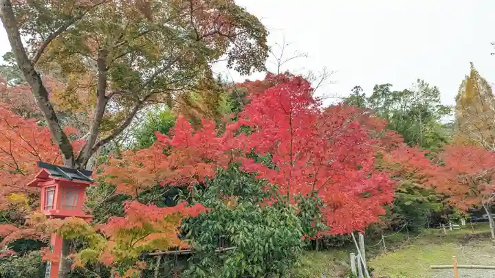 鍬山神社(京都府)