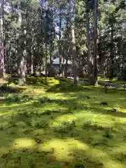 平泉寺白山神社(福井県)