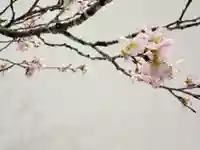 西方山極楽寺(岐阜県)